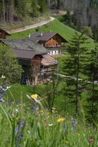 a house on a hill with a field of flowers at Pastrogn 4 in La Valle
