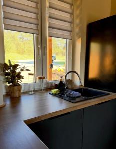 a kitchen counter with a sink and a window at Chatka Niedźwiadka-domek na odludziu in Uście Gorlickie