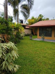 a yard of a house with palm trees and plants at Villa 40B Bentota in Bentota