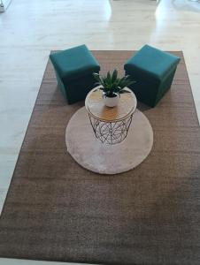 a table with a potted plant on top of a rug at Apartamento La Bella Vista ATBA00361 in Zafra