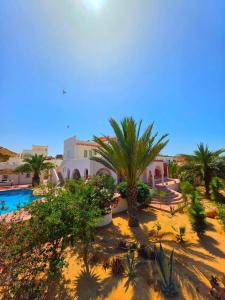 a resort with a swimming pool and palm trees at Nanou in Zarzis