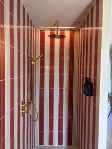 a shower with red and white striped walls in a bathroom at Maison Cromvoirt in Cromvoirt