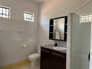 a bathroom with a toilet and a sink and a mirror at Dodo Casita House in Tamarin +13 photos