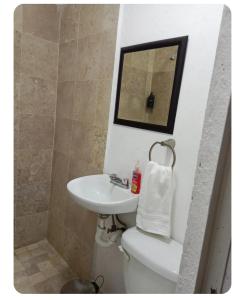 a bathroom with a sink and a toilet and a mirror at Casa Don Alfonso in Cuernavaca