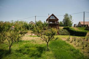 a house in the middle of a field with trees at Pajkos Présház in Bakonycsernye +26 photos