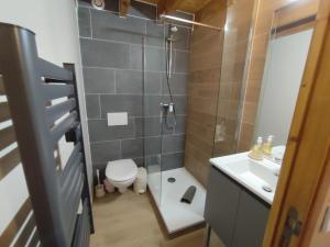 a bathroom with a shower and a toilet and a sink at L'Esprit Chalet in Ustou +32 photos