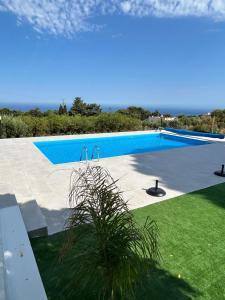 a large swimming pool with a palm plant next to it at Villa Silvia in Erice