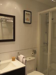 a bathroom with a toilet and a sink and a shower at Apartamentos Turisticos Ca Ramon in Beniarrés +36 photos