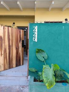 a green wall with a plant next to it at Loft Misiones 226 in Puerto Iguazú