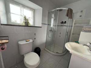 a bathroom with a shower and a toilet and a sink at Maison campagne in Champ-du-Boult