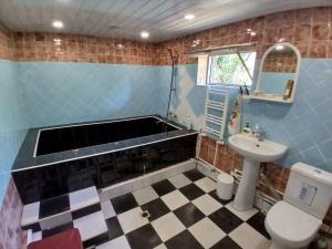 a bathroom with a tub and a toilet and a sink at Vardeni Guest house in Dsegh +24 photos