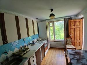 a kitchen with a sink and a counter top at Vardeni Guest house in Dsegh