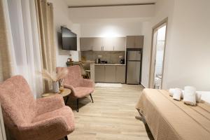 a living room with two chairs and a kitchen at Elysian Studios in Mavrovouni +22 photos