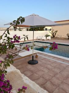 a white umbrella sitting next to a swimming pool at PiuPiuStays in Vermelho