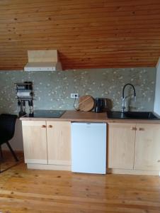 a kitchen with a sink and a counter top at Studio pr Vok in Lesce