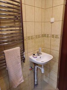 a bathroom with a white sink and a shower at ivlo in Pszczyna +14 photos