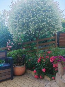 a bench sitting next to a tree and some flowers at Mała Garda in Brodnica Dolna