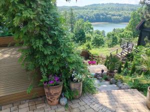 a garden with flowers and plants on a deck at Mała Garda in Brodnica Dolna +42 photos