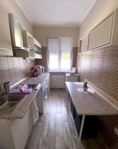 a kitchen with a sink and a dishwasher at Purple Madame in Balatonszárszó