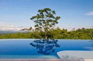 Hotel Hacienda Combia内部或周边的泳池