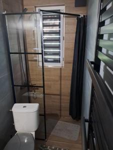 a bathroom with a shower with a toilet and a window at Leśne Zacisze in Wijewo