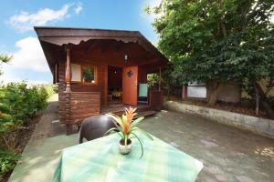 Vonkajšia záhrada v ubytovaní Casa Canarina