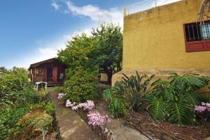 Gallery image of Casa Canarina in Santa Úrsula