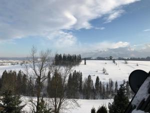Príroda v okolí privátu