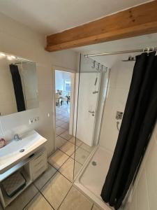 a bathroom with a shower and a sink and a mirror at Ferienwohnung Loft ca. 45 qm in Anröchte