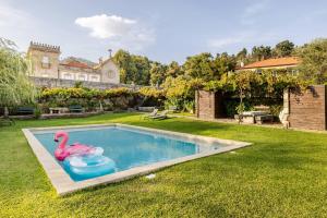 a swimming pool with a pink flamingo in a yard at Romantic Historic Tower with Pool and Gardens in Baião