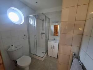a bathroom with a shower and a toilet and a sink at Sea Loft in Shankill +10 photos