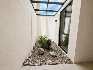 a house with a skylight and a courtyard with plants at Casa Rosa in Aguascalientes