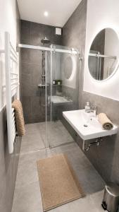 a bathroom with a shower and a sink and a mirror at Allgäu Ferienhaus 5 Apartments mit Sauna,Balkon, Garten und Privatparkplatz in Blaichach +51 photos