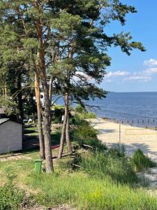 a beach with trees and a house and the water at Spokiy in Glebovka +27 photos