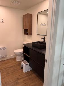 a bathroom with a sink and a toilet at 206 Val-des-Neiges - MSA LUX in Beaupré +26 photos