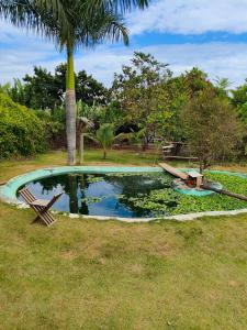 a pool of water with a palm tree and a bench at sitiolosbragas in Caetanópolis