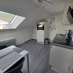 a kitchen with a sink and a refrigerator at Im Buchenweg in Großheubach