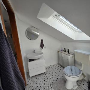 a bathroom with a sink and a toilet and a skylight at Im Buchenweg in Großheubach