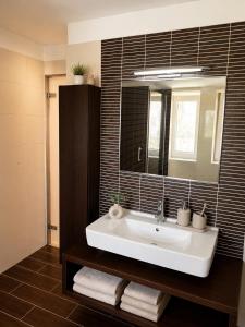 a bathroom with a sink and a mirror at Apartmán Višňovka in Pardubice