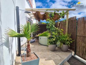 a patio with potted plants and a fence at Abadog Canarias in Firgas