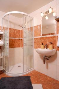 a bathroom with a shower and a sink at Maison les Mésanges in Flanthey