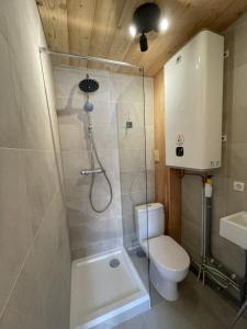 a bathroom with a shower with a toilet and a sink at Gallice Bey in Briançon