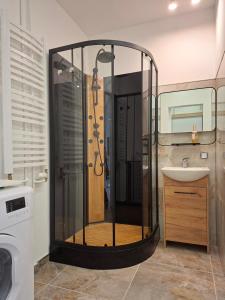 a shower in a bathroom with a sink at Diwo Apartament in Koszalin +6 photos