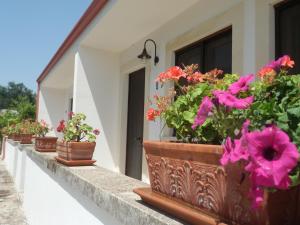 A garden outside Masseria Fagà