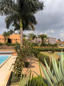a resort with a palm tree and a swimming pool at Skylab Accomodationz in Kasangati