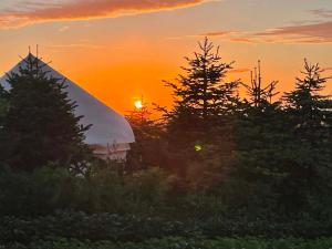 a sunset over a group of trees and a tent at Thy Glamping in Hurup