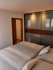 a bedroom with a bed and a glass wall at Apartmán Višňovka in Pardubice