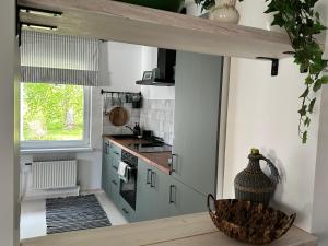 a kitchen with a sink and a stove top oven at Upeskrastu mājas in Vilcāni