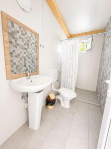 a bathroom with a sink and a toilet at Camping Bucuria Bungalow in Eforie Nord +4 photos
