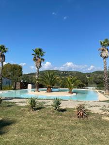 a swimming pool with palm trees in a field at Original Friendly Boat in Sant Pau dʼOrdal